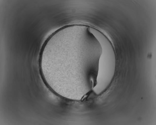 X0000089450995200707131923