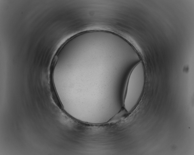 X0000089450996200707131923