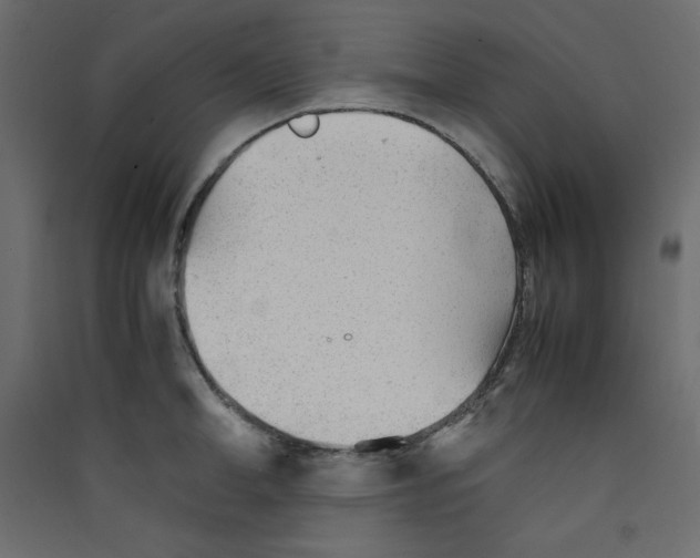 X0000089450998200707131923