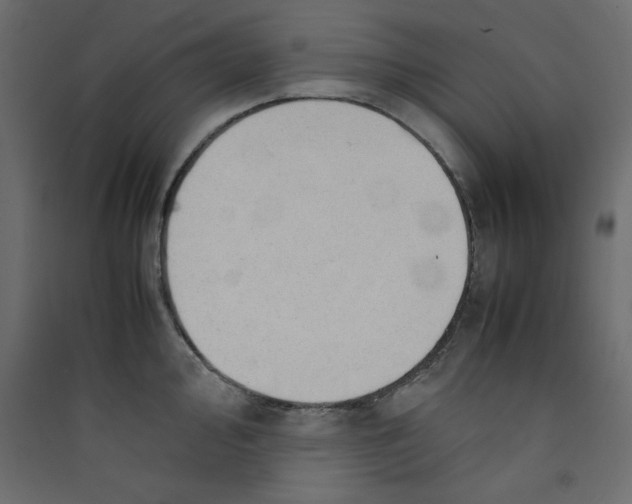 X0000089451000200707131923