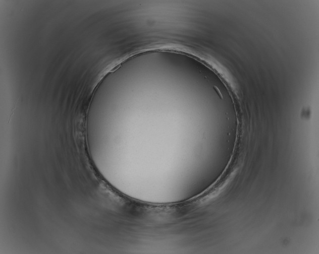 X0000089451001200707131923