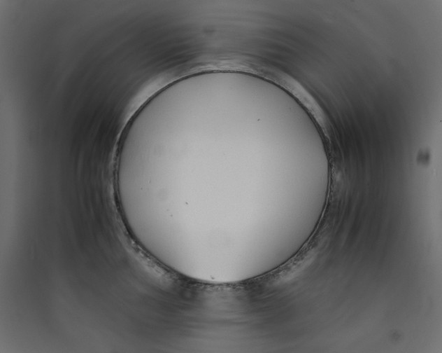 X0000089451002200707131923