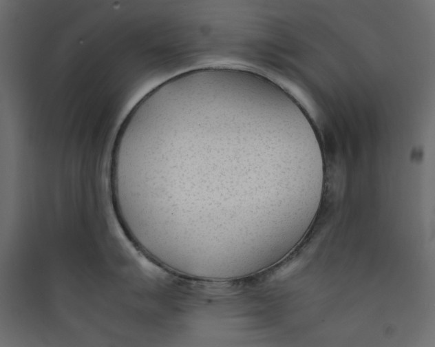 X0000089451007200707131923