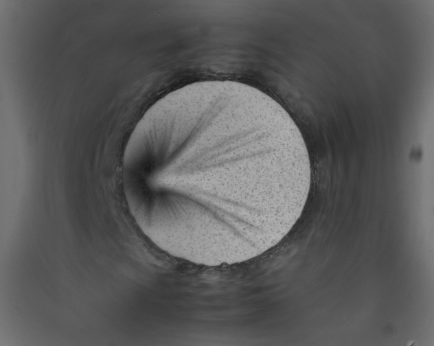 X0000089451009200707131922