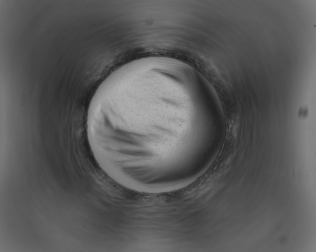 X0000089451012200707131922