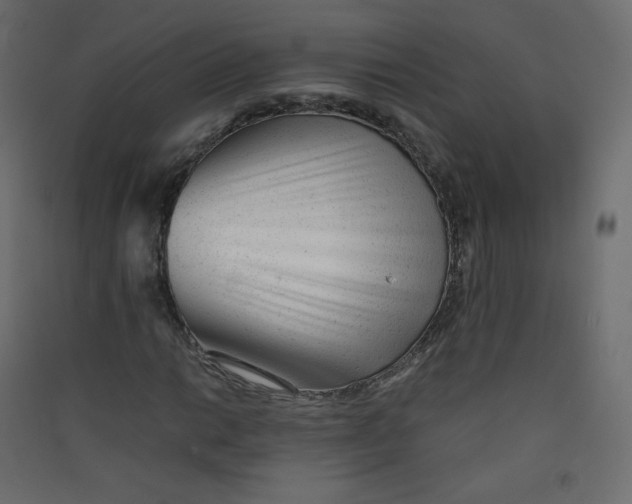 X0000089451014200707131922