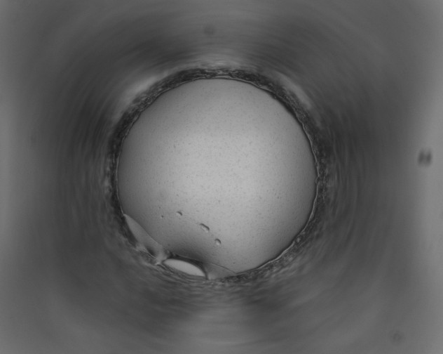 X0000089451016200707131922