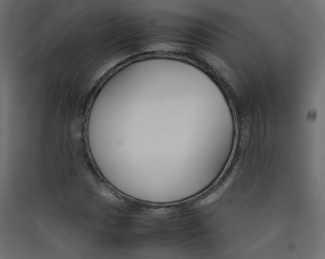 X0000089451017200707131922