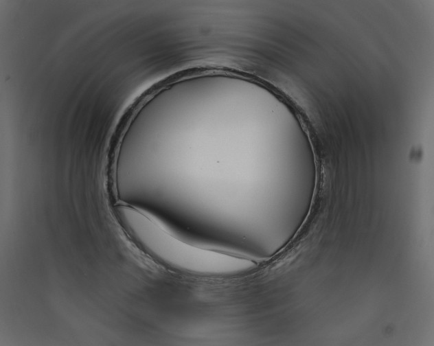 X0000089451020200707131922