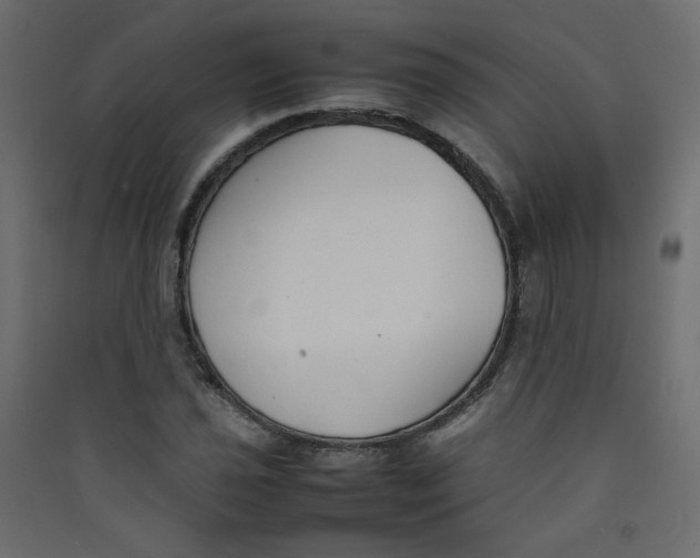 X0000089451021200707131922