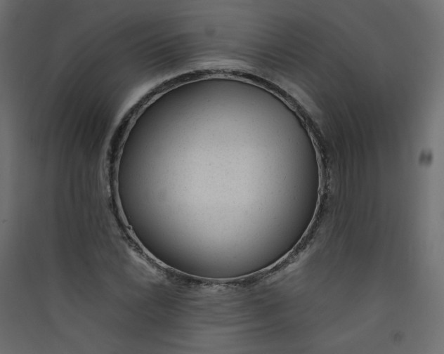 X0000089451022200707131922