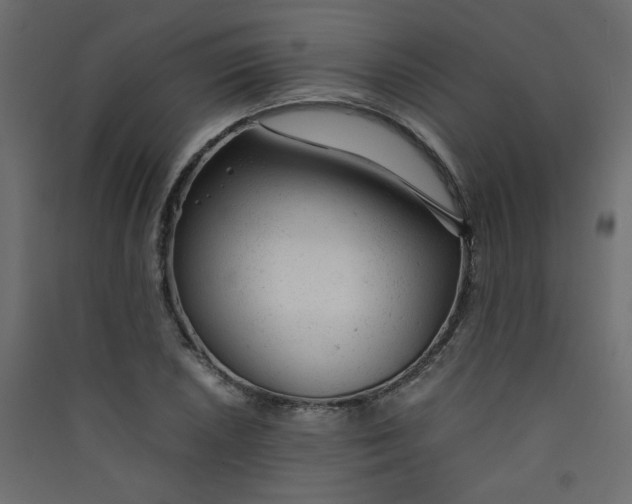 X0000089451026200707131922