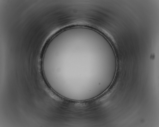 X0000089451029200707131922