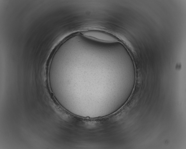 X0000089451031200707131922