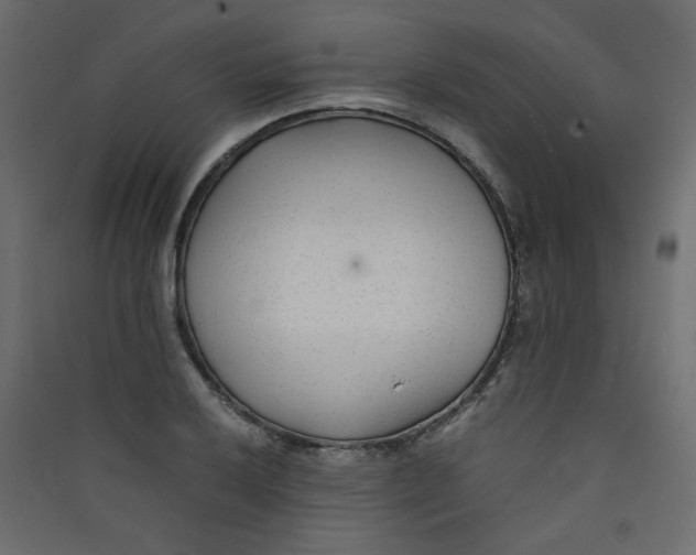 X0000089451032200707131922