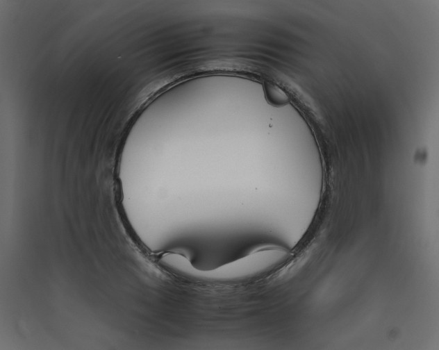 X0000089451033200707131922