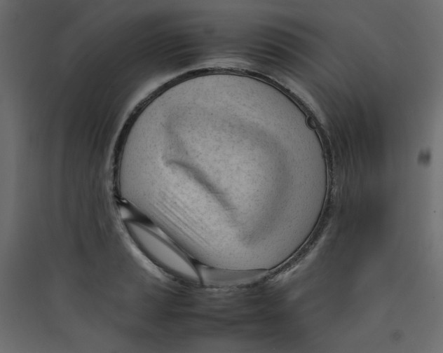 X0000089451037200707131922