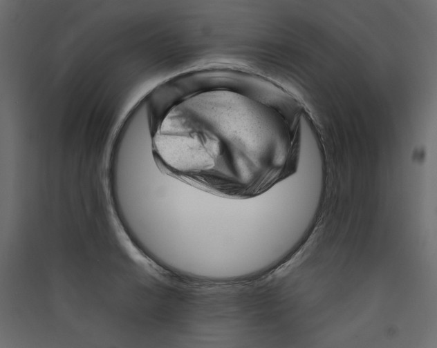 X0000089451038200707131922