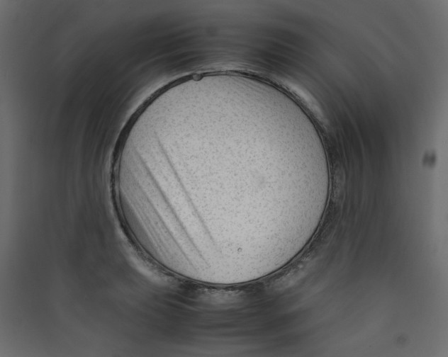 X0000089451039200707131922