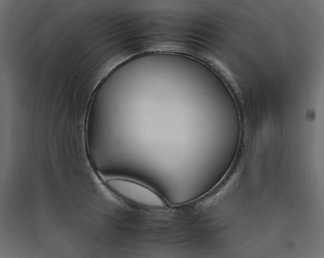 X0000089451041200707131922