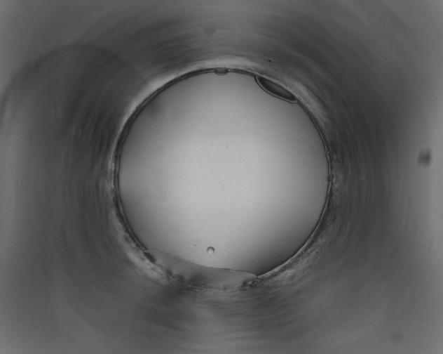 X0000089451044200707131923