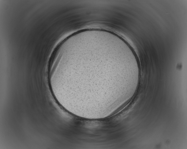 X0000089451045200707131923