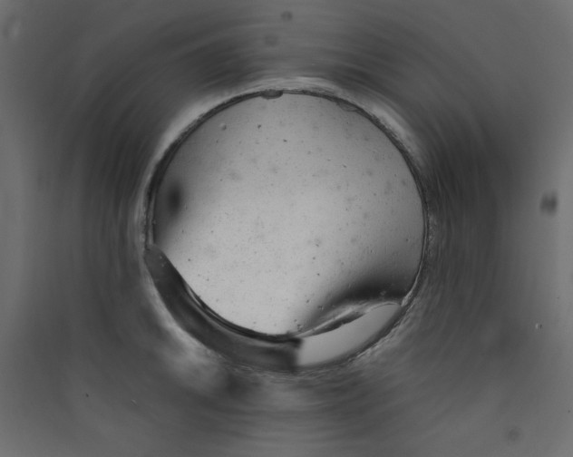 X0000089451046200707131923