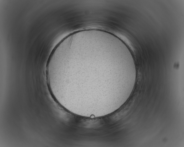 X0000089451047200707131923