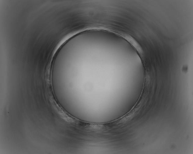 X0000089451052200707131923