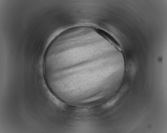 X0000089451054200707131923