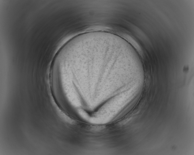 X0000089451055200707131923