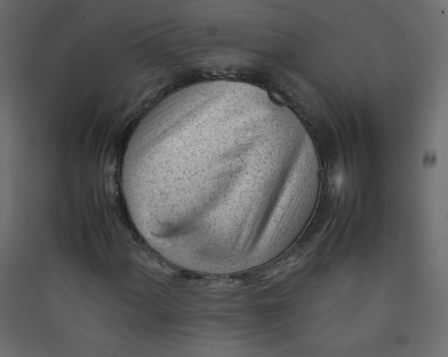 X0000089451060200707131922