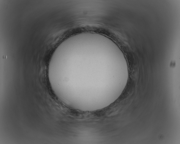 X0000089451061200707131922