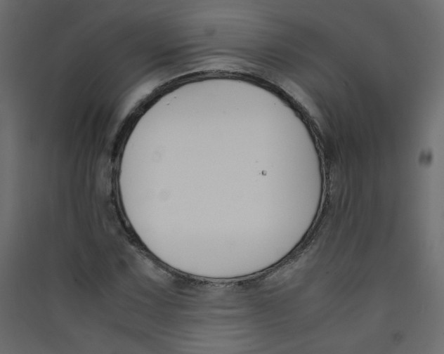 X0000089451067200707131922