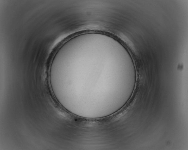 X0000089451070200707131922