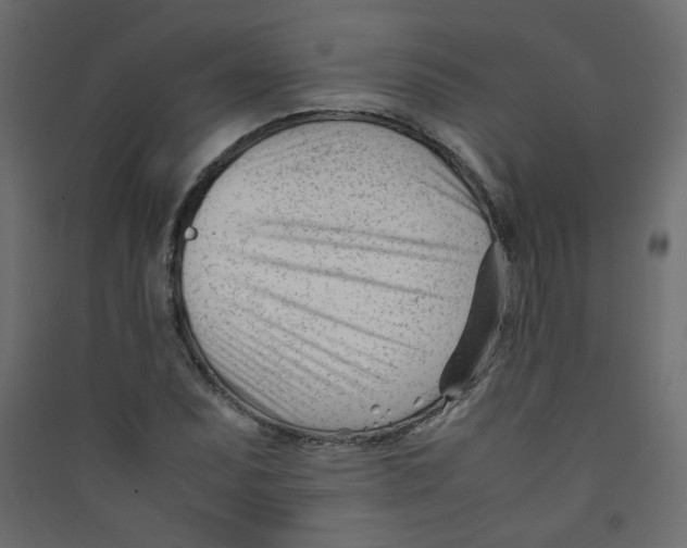 X0000089451071200707131922