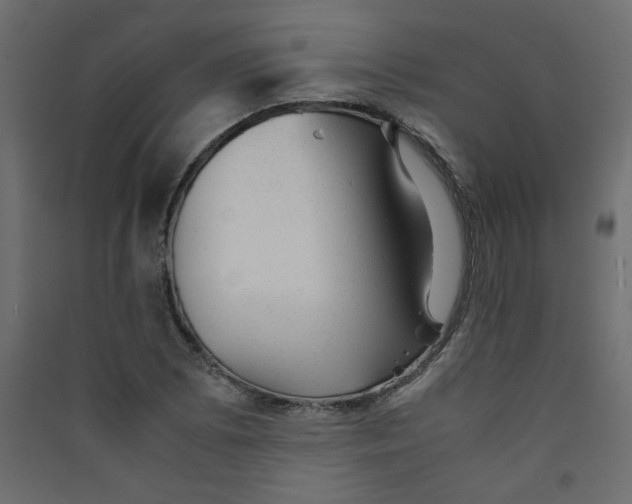 X0000089451073200707131922