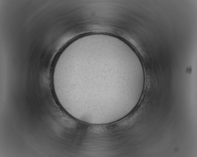 X0000089451074200707131922