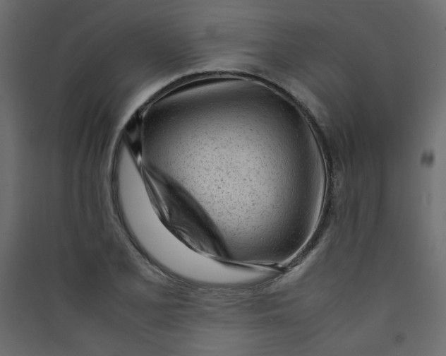 X0000089451077200707131922