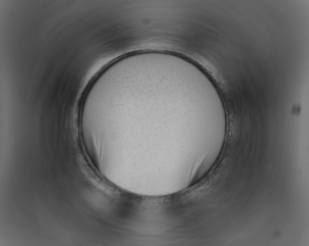 X0000089451078200707131922