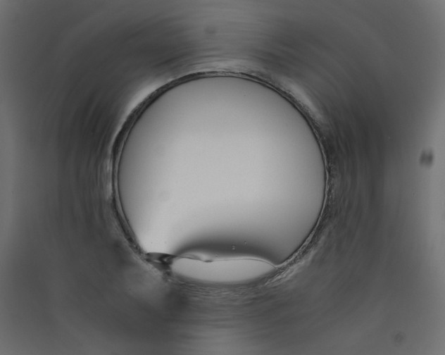 X0000089451079200707131922