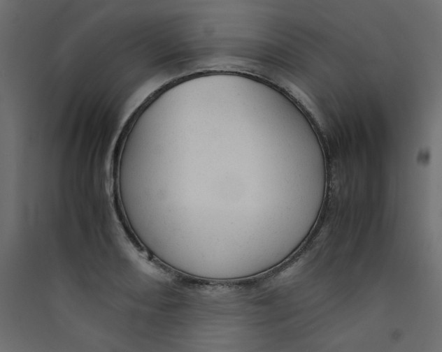 X0000089451082200707131922