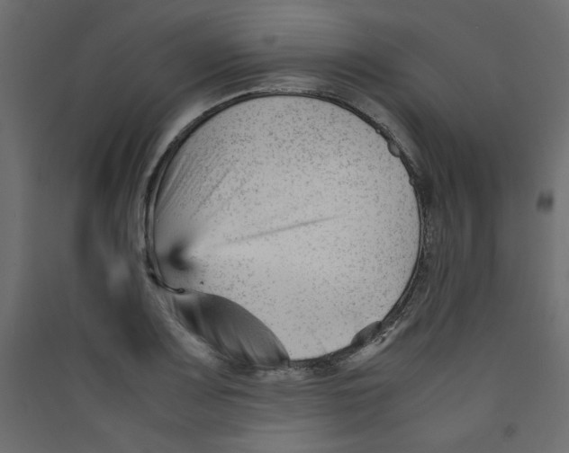 X0000089451083200707131922