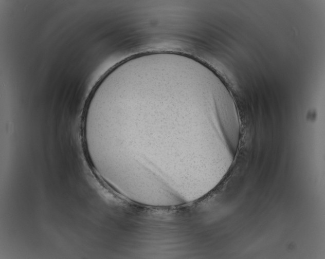 X0000089451086200707131922