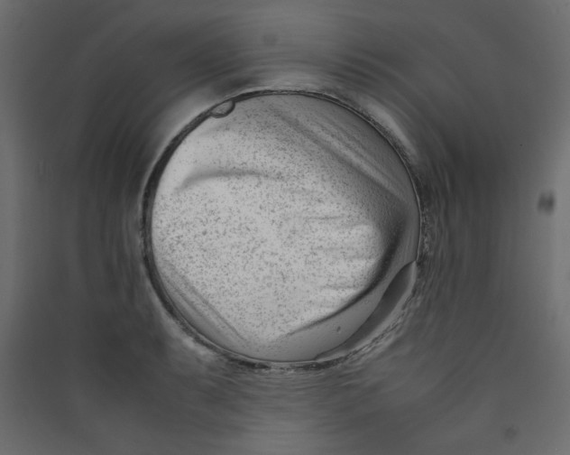 X0000089451087200707131922