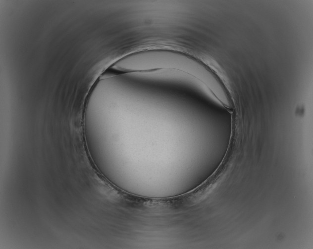 X0000089451089200707131922