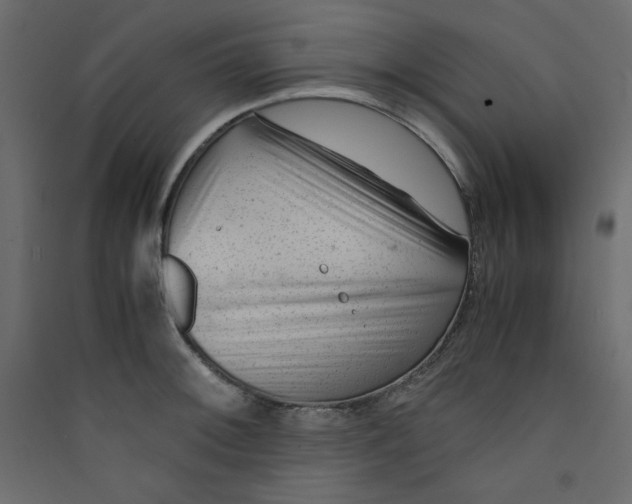 X0000089451092200707131922