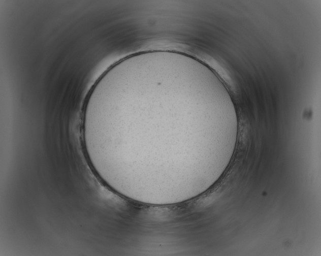 X0000089451094200707131922