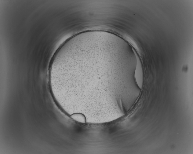 X0000089451095200707131922