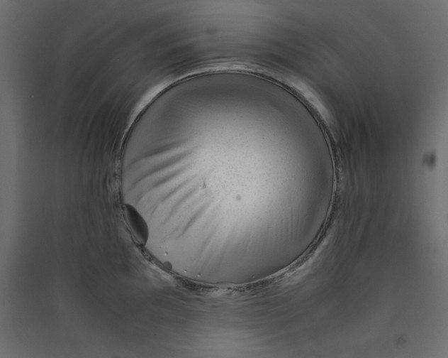 X0000089451097200707131922